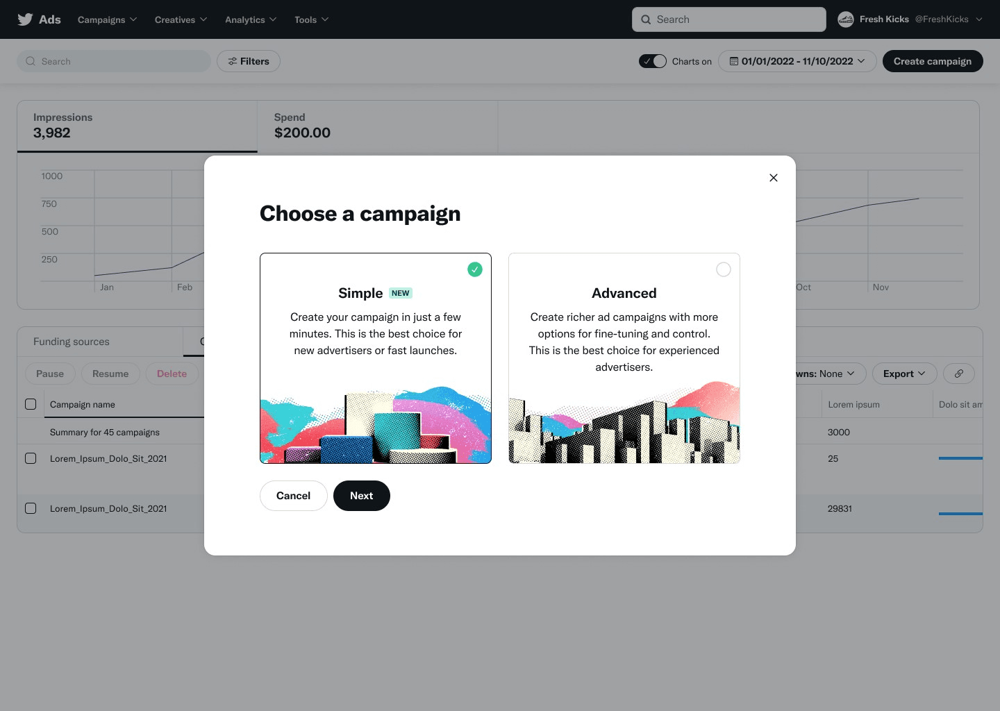 Campaign creation screen with two clear paths: Simple mode card with beginner-friendly description and Advanced mode card with detailed controls description